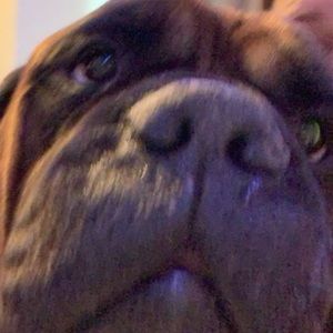 Meet your Posher, Baylee